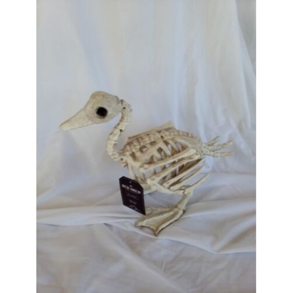 15" Duck Skeleton NEW - Picture 1 of 3